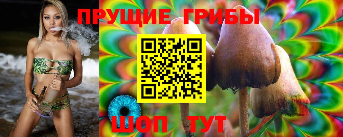 Псилоцибиновые грибы ЛСД Клинцы